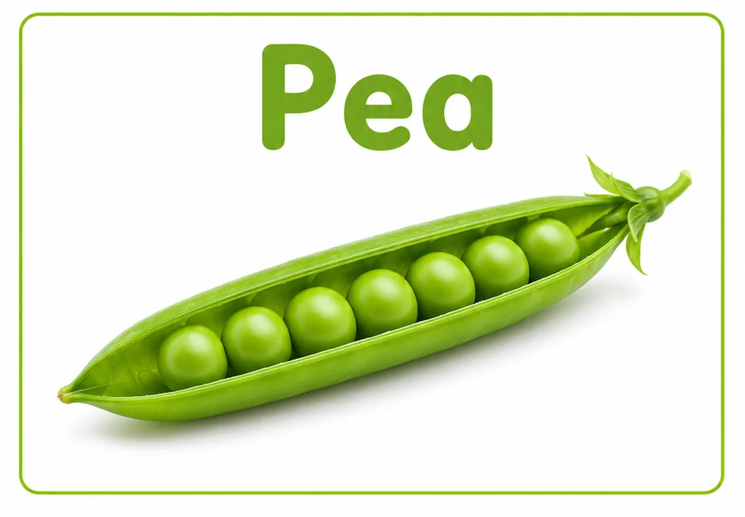 Pea